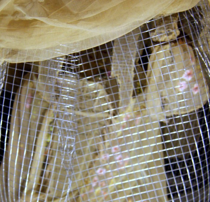 4ª parte. MATRIARCADO